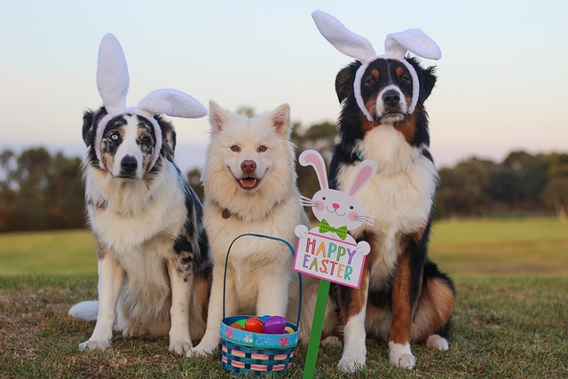 Cute dogs wearing fluffy rabbit ears sit beside festive Easter baskets filled with eggs, candy, and decorations.