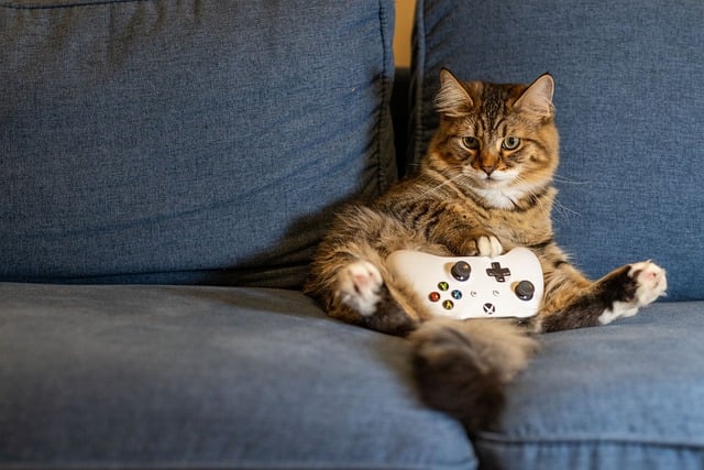 A playful cat with its paws on a gaming controller, creating a fun and cozy gaming vibe.